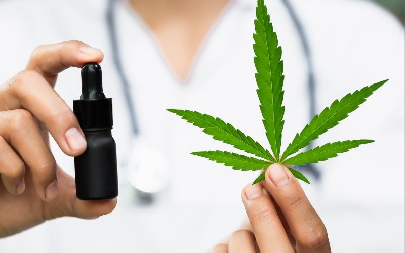 Marijuana Nurse: What Is It and How Do I Become One?